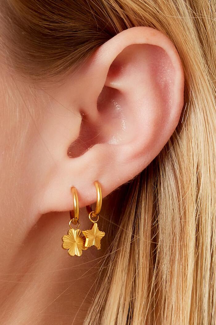 Boucles d'oreilles en acier trèfle Acier inoxydable Image3